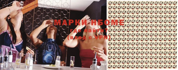 шишки Богородицк