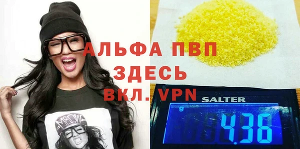 молекула духа Богданович